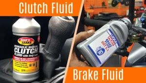 Clutch Fluid vs Brake Fluid