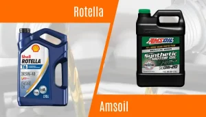Rotella and Amsoil