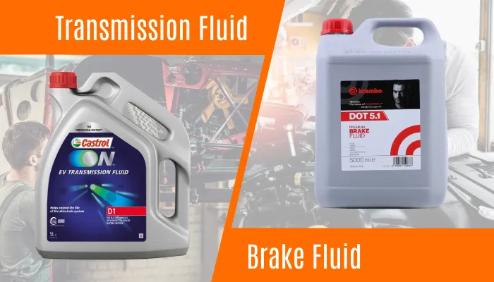 Transmission Fluid vs Brake Fluid