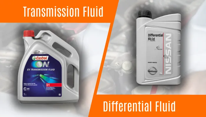 Transmission Fluid vs Differential Fluid