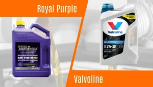 royal purple vs valvoline